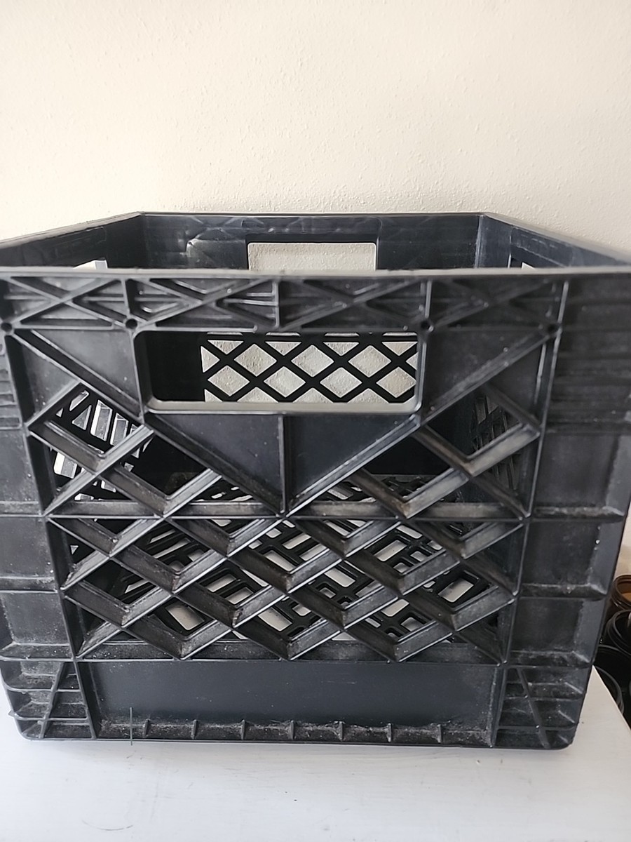 Vintage DariGold Plastic Milk Crate Vintage 13
