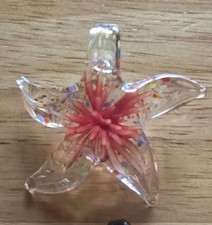 Rare Murano Style Glass Starfish Pendant Orange Blown New Art Glass