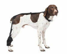 Caldera Hot & Cold Tarsal Pet Therapy Wrap w/ Therapy Gel Medium PET206 