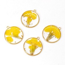 C 8PCS Gold Tone Real Dried Pressed Flower Resin Round Charm Pendant GXE102