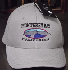 NWT 2017 Monterey Bay California Decky Brand One Size Cap Greenish Gray Embroid