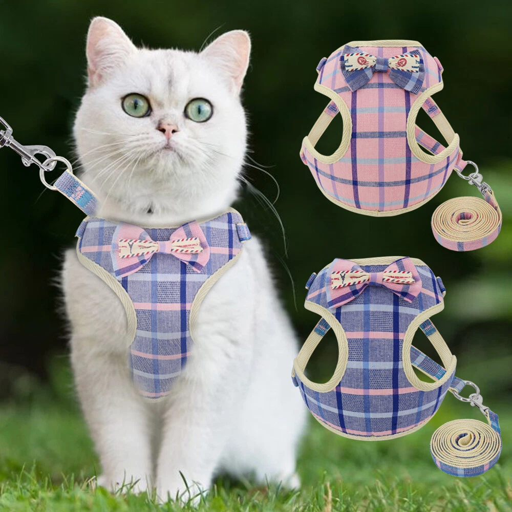 Cute Cat Walking Jacket Harness and Leash for Small Pet Puppy Soft Mesh Vest S M