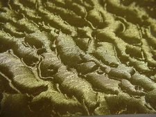 Gold Leaf or Silver Leaf  Sign Vinyl, pick color + size, Sticky Outdoor USA made