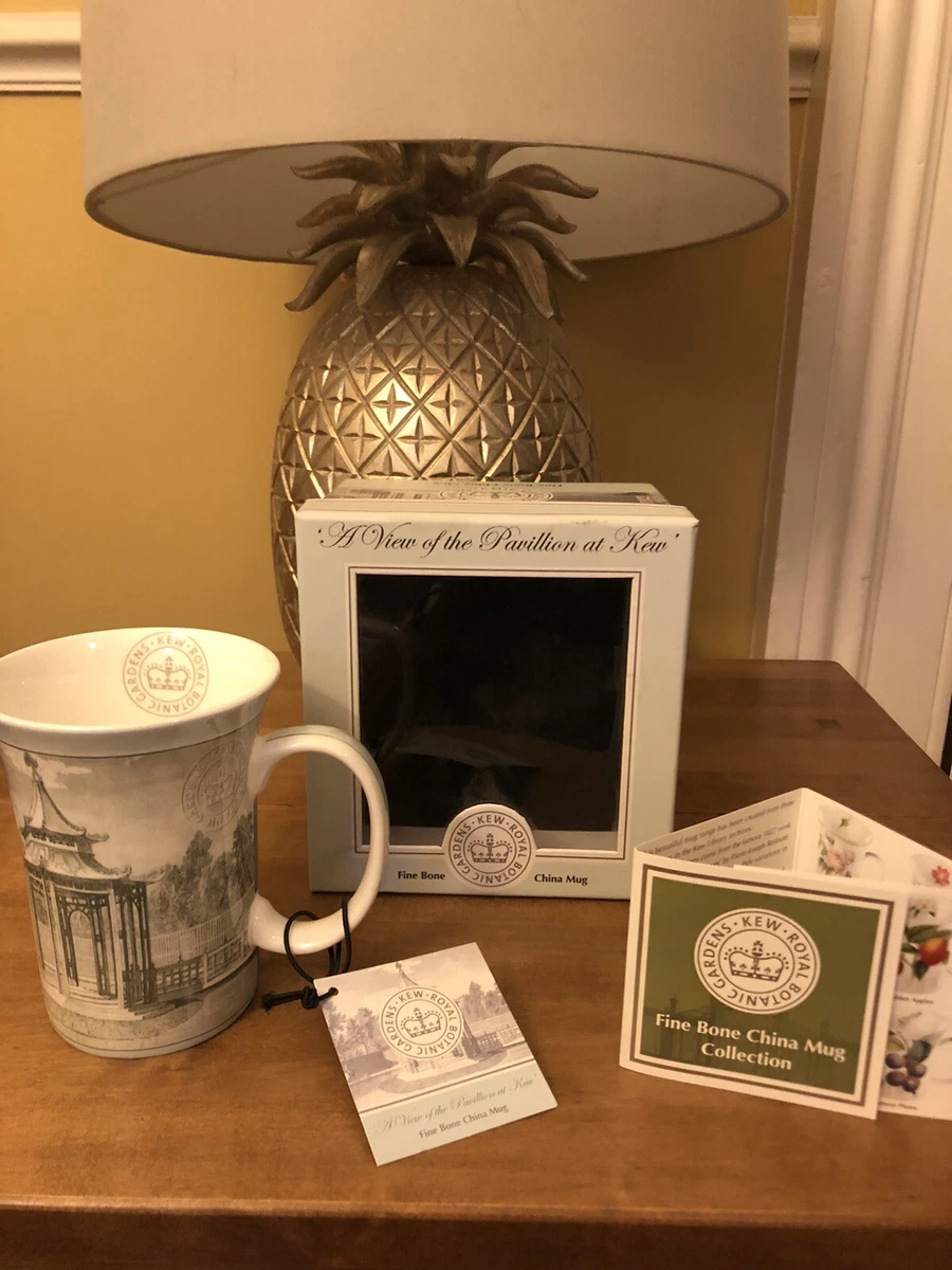 New Bone China Cup and saucer in a gift box