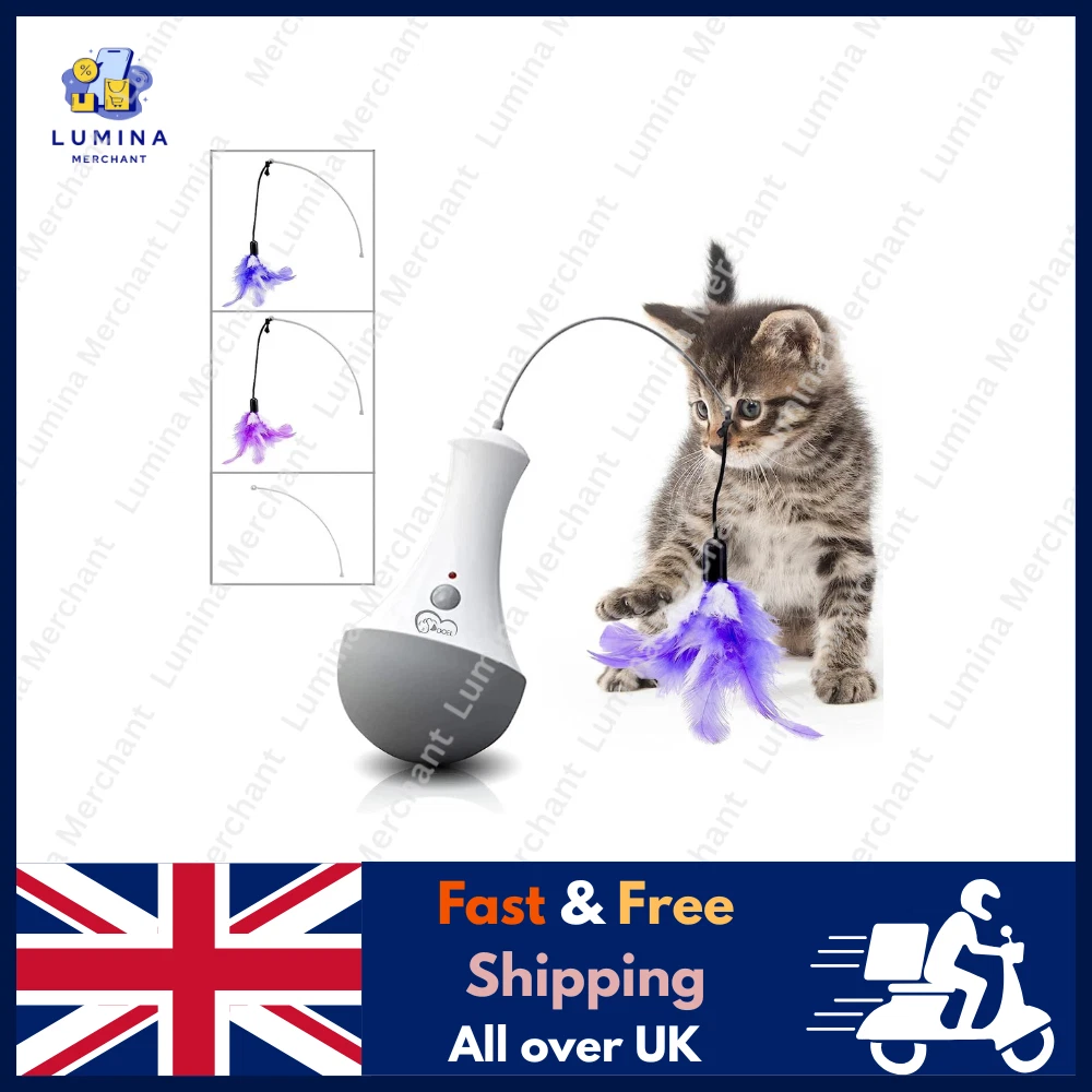 Cat Interactive Toys Funny Feather Kitten Teaser Indoor Automatic Play Toy Gift
Opens in a new windo