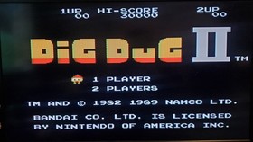 Dig Dug II (2) Trouble in Paradise (Nintendo NES 1989) w/ Box Retro Gaming