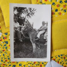 Foto instantánea de colección en blanco y negro de niños de los años 50 montando burro mula vida en granja