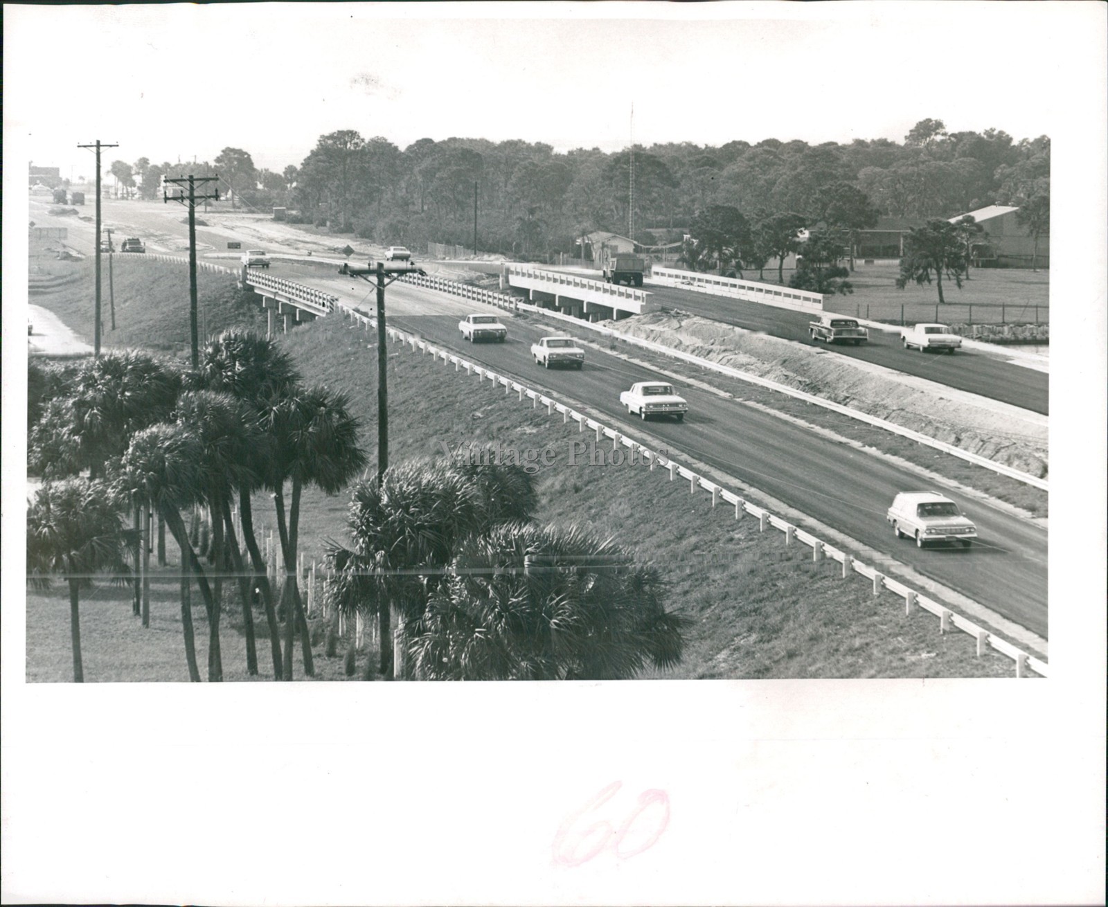 1964 Frenchmans Creek Highway 19 Cars Trees Historic Vintage Press Photo 8x10