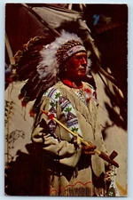 c1950's Chief Running Horse Native American Petley Unposted Vintage Postcard
