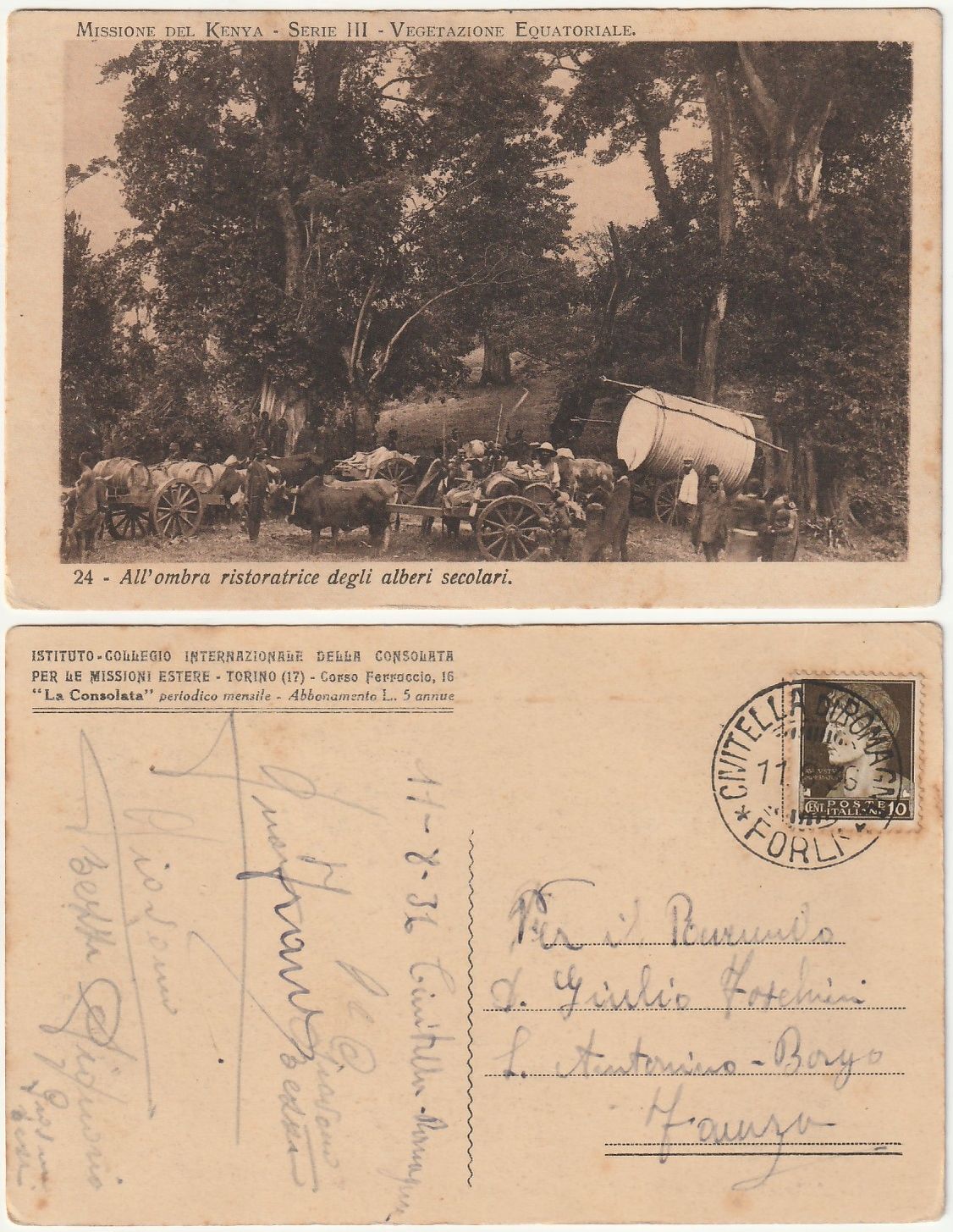 MISSIONE DEL KENYA - ALL'OMBRA RISTORATRICE DEGLI ALBERI SECOLARI -VIAGG. -11648