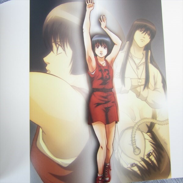 GINTAMA DVD&CD Jacket Art Works 2006-2009 Illustration Ltd Fan