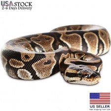 Garden Realistic Big Rubber Snake Lifelike Scary Prank Toy Joke Party Prop