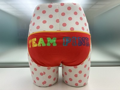 Victoria s Secret 2007 TEAM PINK XS Extra Small Bikini Panty Y2K NWT rainbow