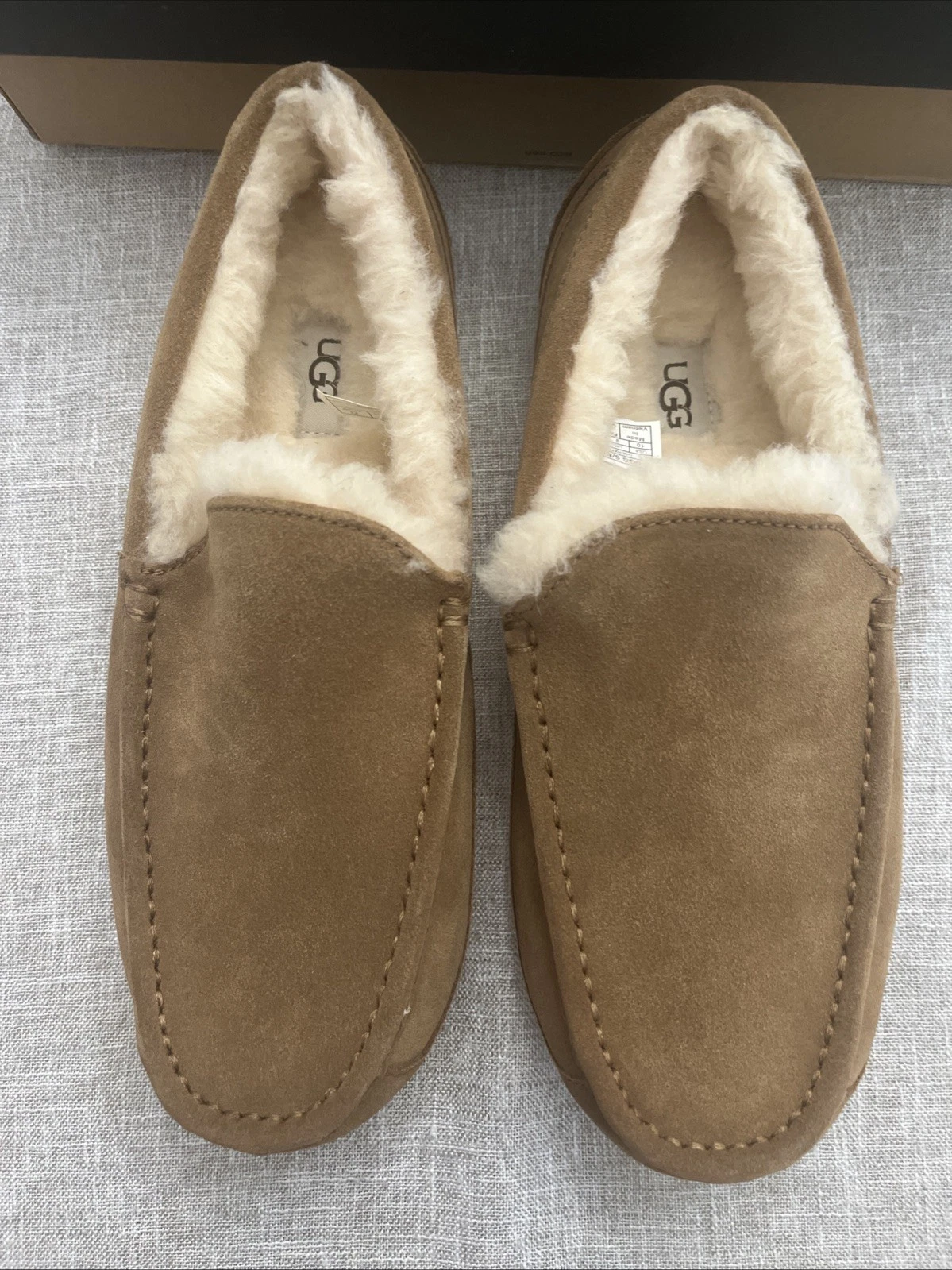 Pantofole mascotte UGG TAGLIA 10