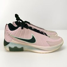 Size 9 - Nike LeBron Witness 9 Elemental Pink/Pink/Pink Foam/Black