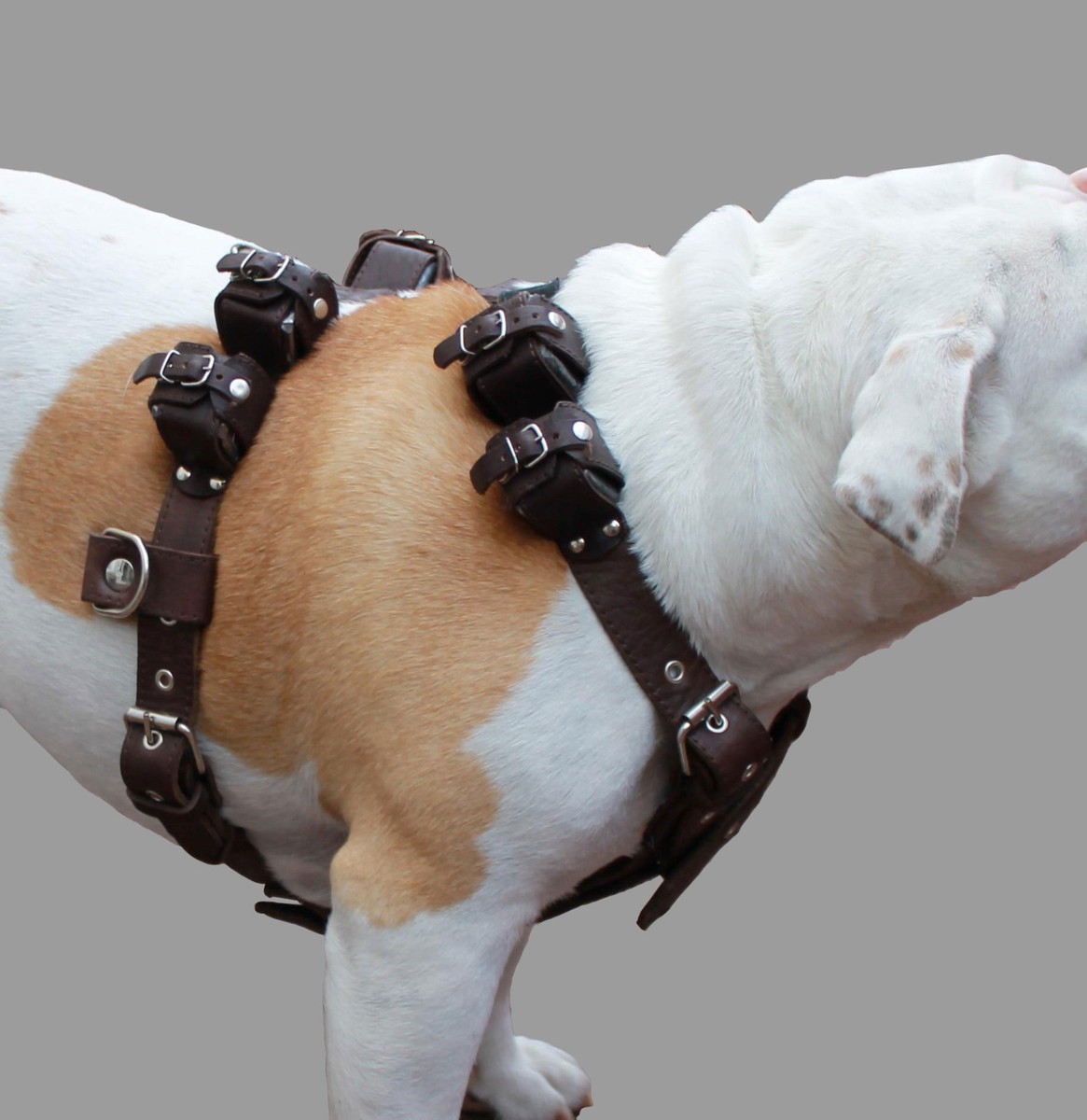 Brown Leather Weighted Pulling Dog Harness Exercise Training Lb