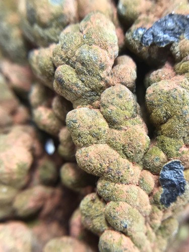 RARE MOTTRAMITE CRYSTALS FROM TSUMEB MINE, NAMIBIA - Picture 8 of 10