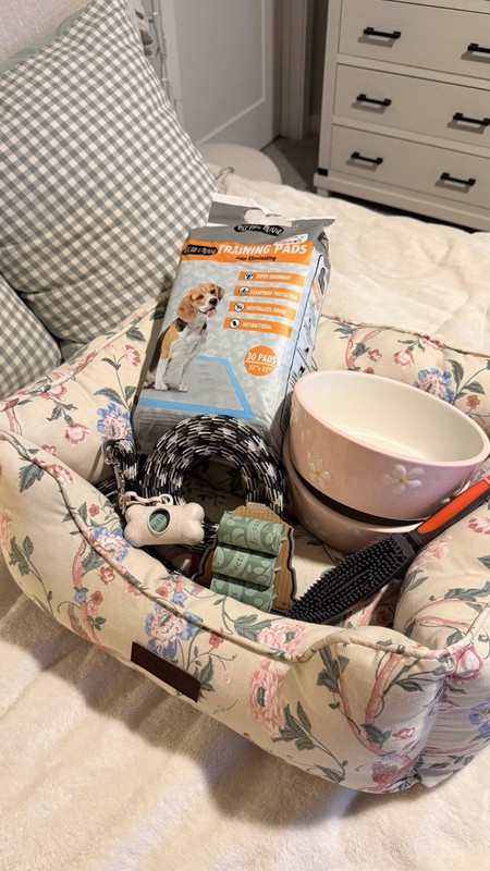 New Dog Supplies (bed, bowls, pads, leash, poop bags)