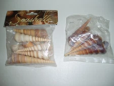 Lot 12 TURRETELLA SEA SHELLS 3" - 4" Brown Tan Crafts Jewelry Seashells  $0 S/H!