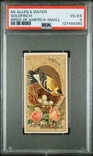 GOLDFINCH 1888 N4 Allen & Ginter Birds Of America PSA 4 VG-EX