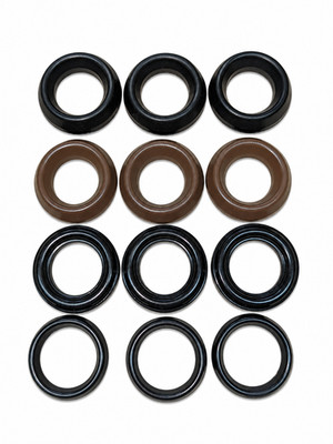 InterPump KIT69 Pump Gasket Set for 20mm Pistons KIT-69 OEM
