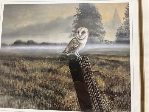 Pair Of Stephen Barnes Limited Edition Lithographed Framed Prints 35cm x 38cm - Picture 9 of 11