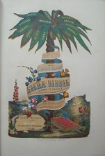 MAGNIFICA EDIZIONE ILLUSTRATA_ANTICA BIBBIA_INCISIONI E MAPPE_CIRCA 150 TAVOLE!