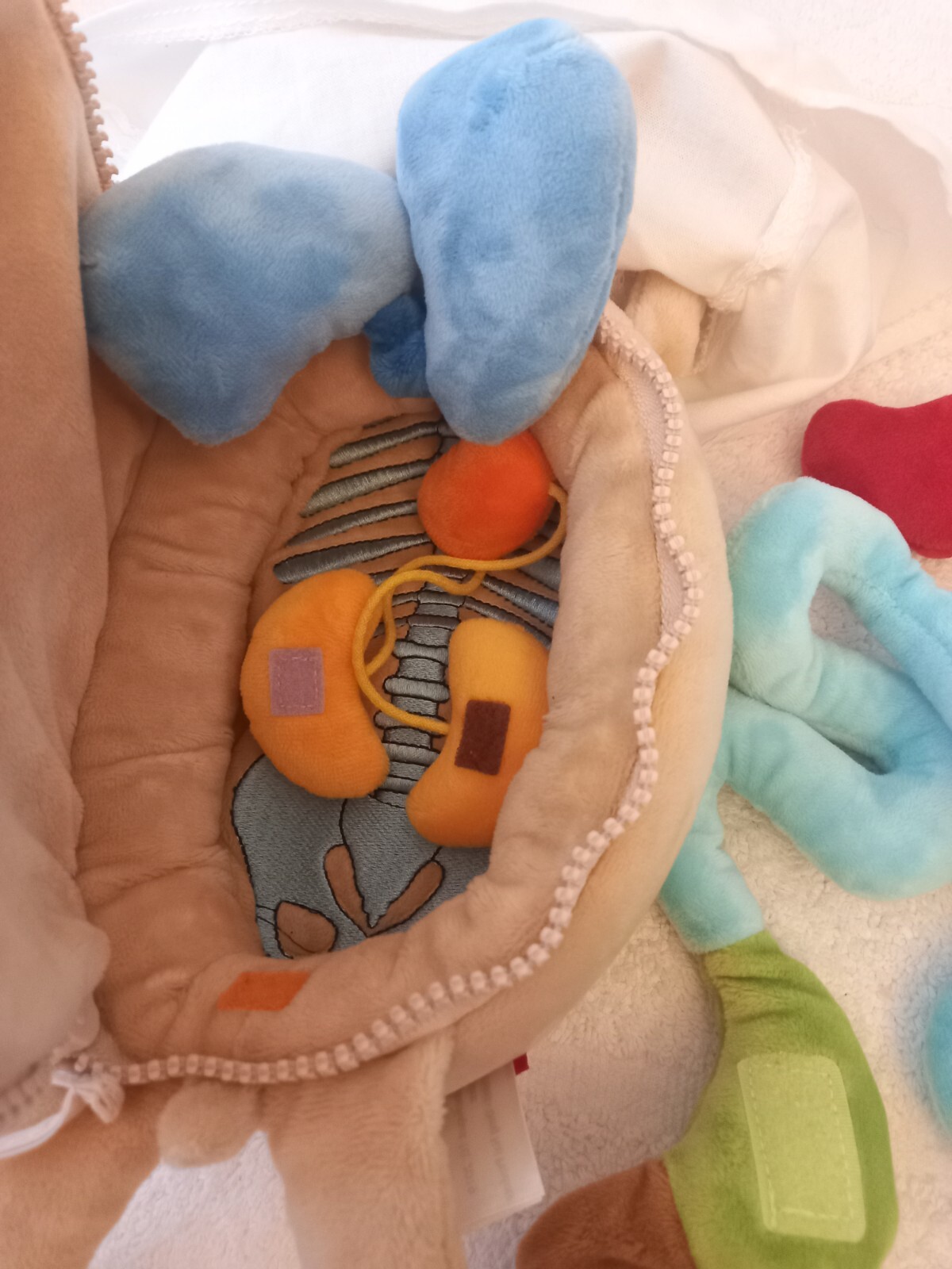 Sigikid Doll Erwin The Little Patient Plush Stuffed Anatomy With Organs 17” Hidrocentro