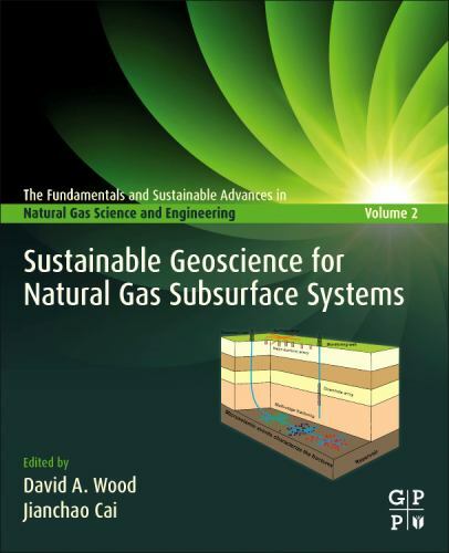 Sustainable Geoscience for Natural Gas SubSurface Systems Wood Cai Paperback