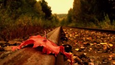 Landscape fall leaves railway fallen outdoors Custom Gaming Mat Desk