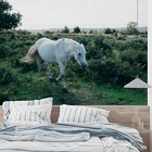 3D White Horse Grassland Landscape Self-adhesive Removable Wallpaper Murals