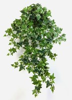 Artplants KüNstliche Efeu Ranke Luka, 262 BläTter, Weiß - GrüN, 70Cm
