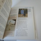 Bild 10 von 12