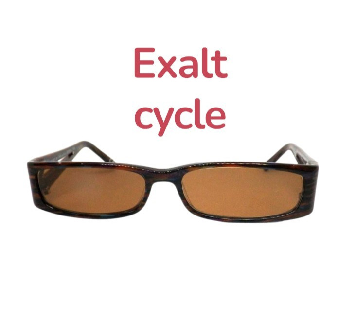 EXALT CYCLE EXFANCY Vintage Women’s Brown Sunglasses Silver Plastic Frame