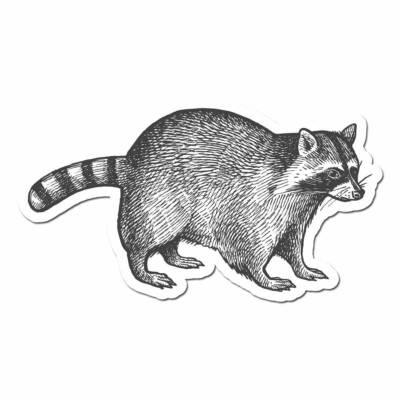 Raccoon Pencil Drawn Full Color Vinyl Decal for Car, Macbook, or Other Laptop