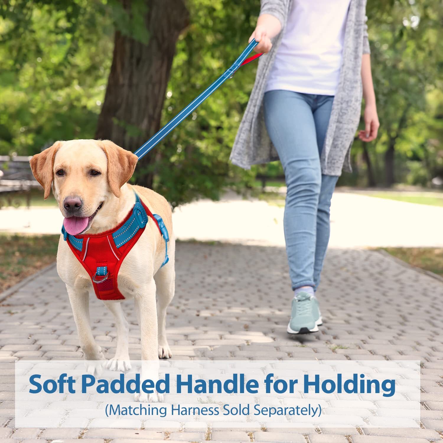 5 Feet Dog Leash with Comfortable Padded Handle Easy Snap Clasp - Reflective ...