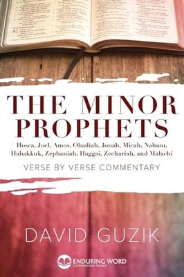 Minor Prophets - GOOD