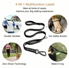 Bungee Dog Leash for Medium Large Dogs - Reflective, Car Buckle, Double Grip