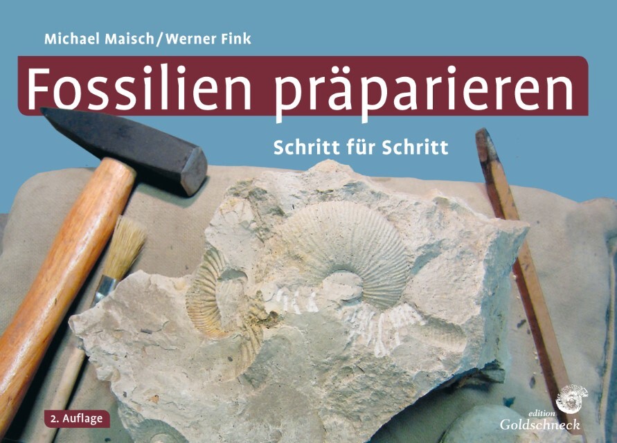 Fossilien Präparieren Michael Maisch