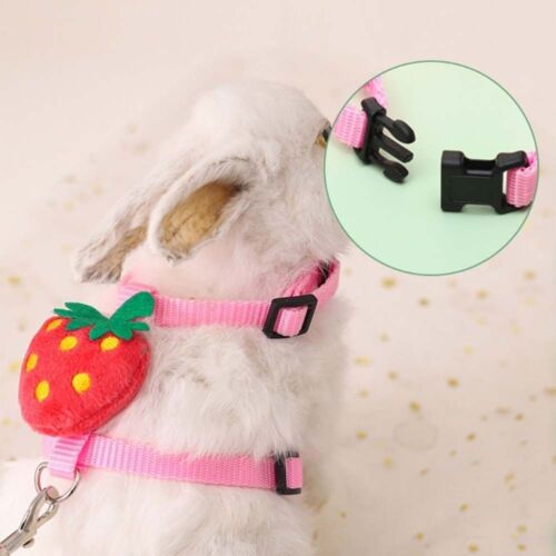 Hedgehogs Pet Traction Bunny Costume Rabbit Harness Leash Pet Leads Rope - Picture 1 of 14