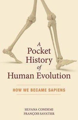 A Pocket History of Human Evolution   How We Became Sapiens Condemi Savatier