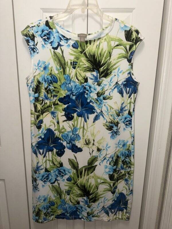 Women's CHICO'S Blue Multicolored Floral Print Sleeveless Dress-Sz 2/L/12-EUC