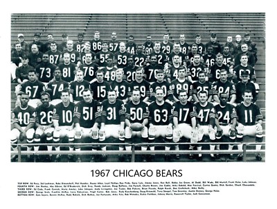 1967 CHICAGO BEARS 8X10 TEAM PHOTO FOOTBALL NFL PICTURE