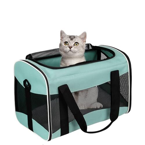 Small Animal Travel, Carrier for Hedgehog Rat Parrot Bird 15"L*10"W"*10'H green - Picture 2 of 8