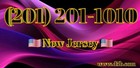 201 Vanity Easy Phone Number (201) 201-1010 New Jersey number Outstanding