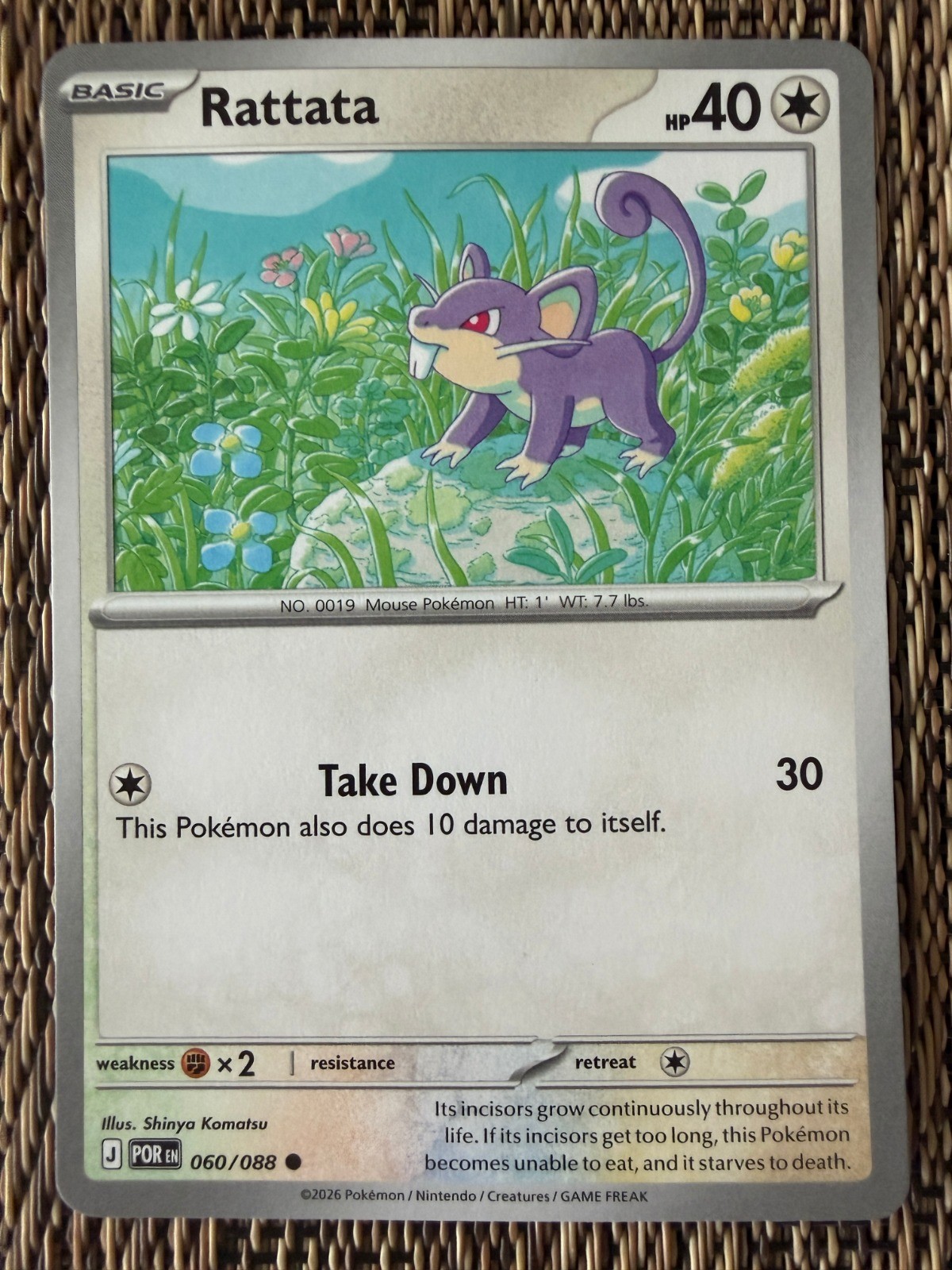 Rattata Common ME03: Perfect Order 060/088 NM