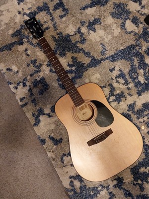 acoustic guitar