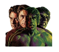 Marvel Comics Bill Bixby The Incredible Hulk Anime Manga Water Resistant Sticker