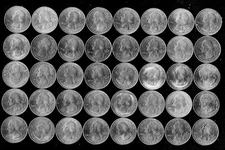 United States Forty National Parks Quarters $10.00 FV as shown - kha034