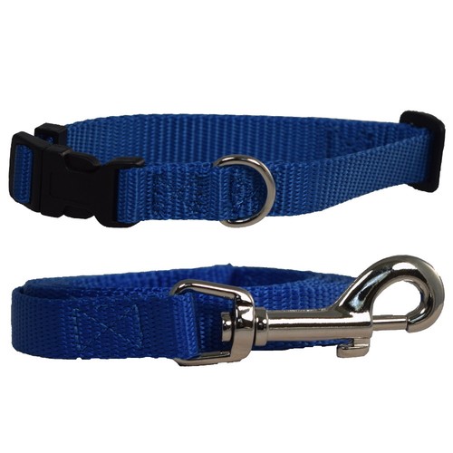 Miniature Schnauzer Dog Collar and Leash Nylon Small 6' Long Lead